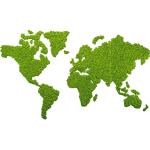 Grünes Moos mit Weltkartenmotiv 