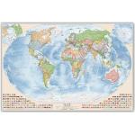 Silberne Weltkarten mit Weltkartenmotiv 