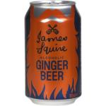Alkoholfreies Ginger Beer 