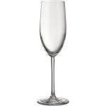 Jamie Oliver Champagnergläser 250 ml aus Kristall spülmaschinenfest 6-teilig 6 Personen 