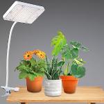 Reduzierte Pflanzenlampen & Pflanzenleuchten 