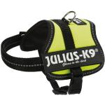 Neongrüne Julius-K9 Reflektierende Hundegeschirre 