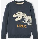 Blaue Langärmelige Meme / Theme Dinosaurier Bio Kinderoberteile mit Dinosauriermotiv aus Baumwolle für Jungen Größe 98 