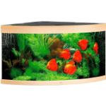 Juwel Trigon 350 LED Aquarium - helles Holz