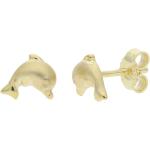 Goldene JuwelmaLux Delfin Ohrringe mit Delfinmotiv aus Gold 