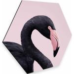 Pinke Moderne Alu-Dibond Bilder mit Flamingo-Motiv metallic 