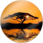 Orange Glasbilder mit Afrika-Motiv 