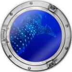 Blaue Runde Glasbilder mit Hai-Motiv 