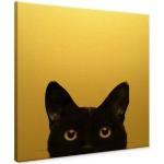 Schwarze Shabby Chic Leinwandbilder mit Katzenmotiv 40x40 