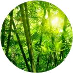 Grüne K&L Wall Art Wald-Fototapeten matt UV-beständig 