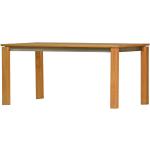 Teak Tisch Triton mit Edelstahlzarge 165 x 90 cm premium als moderner Esstisch aus Teakholz und Edelstahl für Garten Terrasse
