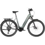 Kalkhoff Endeavour 5.B Advance+ Wave grün/schwarz 53cm 2022 E-Bikes