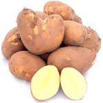 Kartoffel Belmonda deutsche Speisekartoffeln vorwiegend festkochend neue Ernte halbmehlig 1-25 KG (25)
