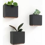 Schwarze Minimalistische Pflanzenampeln & Blumenampeln aus Buche 3-teilig 