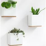 Weiße Minimalistische Pflanzenampeln & Blumenampeln aus Buche 3-teilig 