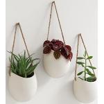 Reduzierte Cremefarbene Moderne Pflanzenampeln & Blumenampeln matt aus Keramik Outdoor 3-teilig 