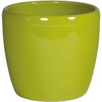 Grüne 19 cm Runde Übertöpfe 25 cm glänzend aus Keramik Indoor 