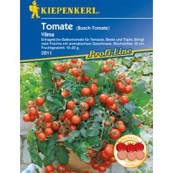 Kiepenkerl Cherry-Tomate Vilma