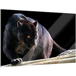 Klebefieber Glasbild Schwarzer Panther B x H: 80cm