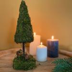 Grüne 30 cm Zeitzone Mini Weihnachtsbäume & Tisch Weihnachtsbäume 