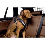 Lantelme Hunde Sicherheitsgurt Adapter XL extra breit und stark für Auto  Gurtadapter ausziehbar 60 bis 95 cm blau 6113