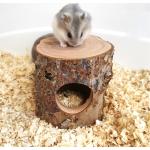 Hamstertunnel aus Holz 