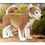 Hellbraune 37 cm Kösener Hund Shiba Hundekuscheltiere aus Kunststoff 