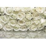 Weiße Blumenmuster Rosen-Fototapeten UV-beständig 