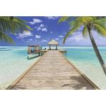 Sandfarbene Komar Beach Resort Strand-Fototapeten mit Strand-Motiv aus Papier UV-beständig 