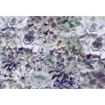 Weiße Blumenmuster Komar Blumen-Fototapeten mit Kaktus-Motiv aus Papier UV-beständig 