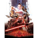 Komar Star Wars Rey Filmposter & Kinoplakate 30x40 