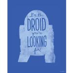 Komar Star Wars R2D2 Bilder mit Sprüchen 40x50 