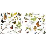 Bunte Komar Cheerful Fenstertattoos & Fensteraufkleber mit Schmetterlingsmotiv 6-teilig 