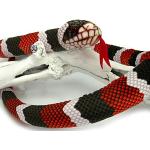 Bunte 150 cm Schlangenkuscheltiere maschinenwaschbar 