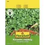 FloraSelf Kräutersamen & Gewürzsamen 