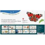 Korsch Verlag Grußkarten mit Insekten-Motiv 