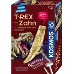Kosmos 636173 T-rex - Zahn