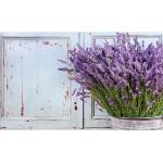 Lavendelfarbene Vintage Küchenrückwände mit Lavendel-Motiv aus Holz Breite 100-150cm, Höhe 100-150cm, Tiefe 50-100cm 