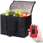 Goods+Gadgets Thermobehälter 45 Liter Picknick Kühltasche, (XXL,  Isotasche), Camping-Tasche
