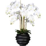 Schwarze Moderne Runde Künstliche Orchideen aus Kunststoff 