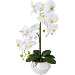 Künstliche Phalaenopsis im weißen Keramiktopf 52 cm in versch. Farben, Farbe:weiß