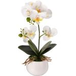 Reduzierte Grüne Künstliche Orchideen 