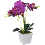Grüne Rechteckige Künstliche Orchideen aus Kunststoff 