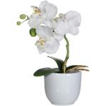 Weiße Mica Decorations Künstliche Orchideen 
