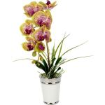 Rosa Künstliche Orchideen | online 2024 Günstig | Trends kaufen