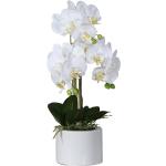 Weiße Künstliche Orchideen aus Kunststoff im Topf 