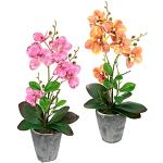 Reduzierte Rosa Künstliche Orchideen mit Insekten-Motiv im Topf 