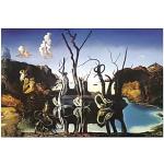 Kunstdruck/Poster: Salvador Dalí Schwäne spiegeln Elefanten 1937" - hochwertiger Druck, Bild, Kunstposter, 30x24 cm