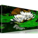 Kunstlab Leinwandbild Seerose Blume Wandbild 1-Teilig: 60x35 cm Mehrfarbig