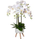Reduzierte Weiße Moderne Künstliche Orchideen 